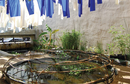 mp11_aquaponics_01-2